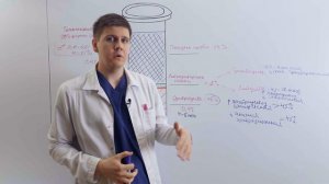 Гематокрит / Форменные элементы крови (эритроциты, лейкоциты, тромбоциты) и плазма / Гематология