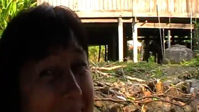 бангкок смотреть онлайн