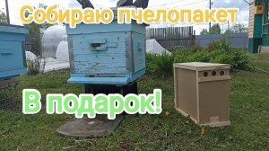 Делаю отводок. В подарок. Пчеловодство!