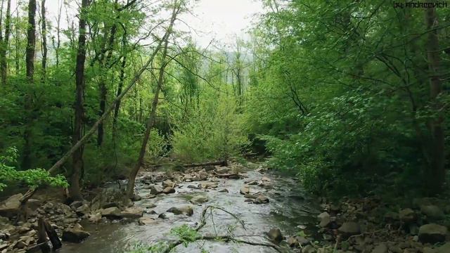 1 HOUR 1080HD DRONE FILM: "Russian land from above" Film by: Andreevich™ + Music by: YouTube™ смотреть онлайн