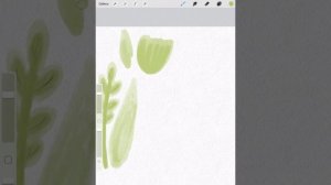 Watercolor brushes for Procreate