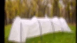 Парник из плёнки своими руками