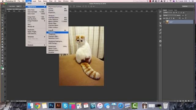Как сделать фотографию черно-белой в Фотошопе CC 2015 смотреть онлайн