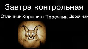 Отличник VS Хорошист VS Троечник VS Двоечник (психованные лица Шлёпы)