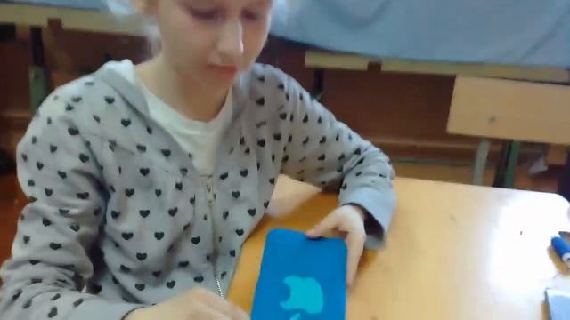 Чехол для мобильного телефона.