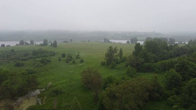 Суворовский район. Богдановский пруд рано утром. смотреть онлайн