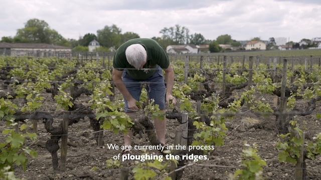 Château Haut-Brion opens its doors to you смотреть онлайн