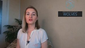 Бронзит. Сила и магия камня.