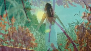 ЗАЧЕМ ВЫ ЛЕТО ОБОШЛИ...КО МНЕ ПРИШЛИ ВЫ СЛИШКОМ ПОЗДНО.