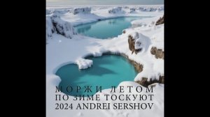 Моржи летом по зиме тоскуют