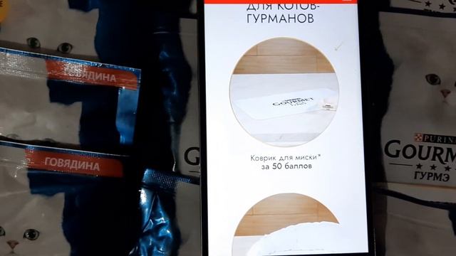 Акция Gourmet Призы от шефа Ивлева для котов и их хозяев. #откотошефаслюбовью смотреть онлайн