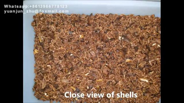 I series sorting by NIR, RGB and shape смотреть онлайн