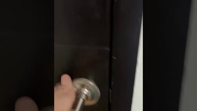 ДомашниеПитомцы