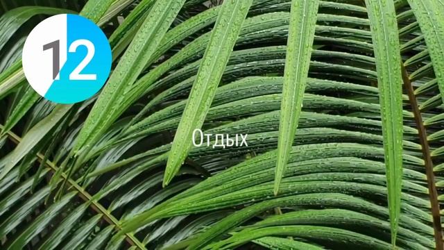 КАК БЫСТРО НАКАЧАТЬ ПОПУ И УМЕНЬШИТЬ ТАЛИЮ? Тренировка для круглых ягодиц