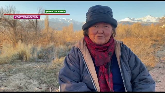 Что такое ценности жизни
