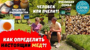 Пчеловодство и пасека в Сочи ✔как выбрать мед ✔забрус ➤Как определить настоящий мед ? Просочились