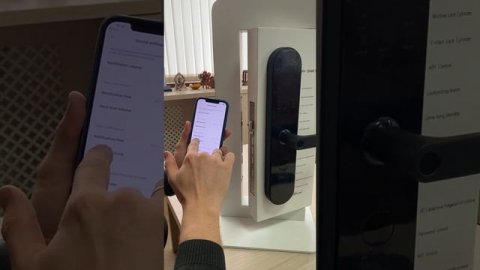 Aqara N100 Bluetooth Version