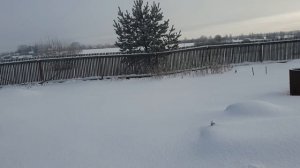 Не люди, а людишки!