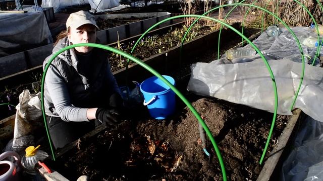 Готовьте грядку под огурцы только так! Перина для бешеного плодоношения огурцов своими руками смотреть онлайн