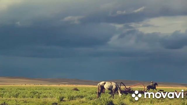 Красивая ирландская музыка для поднятия настроения смотреть онлайн