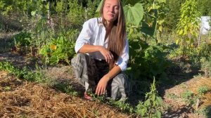 Делаем пермакультурные грядки. Пермакультурный огород часть 4.