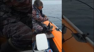 Ловля краба на краболовку от Mr. Musurok