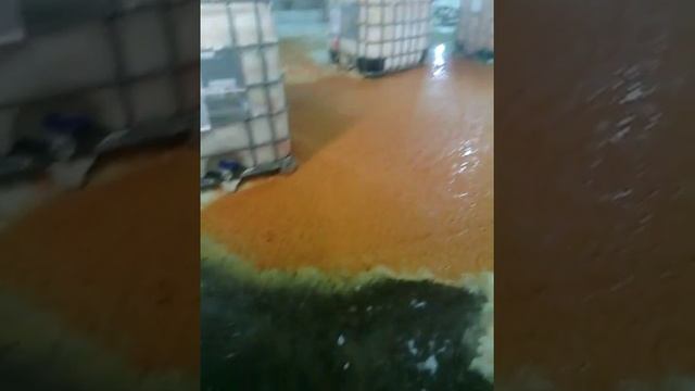 Апельсиновый фреш или КАК В РОССИИ ДЕЛАЮТ СОК!!!