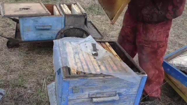 Контроль наличия корма ранней весной смотреть онлайн