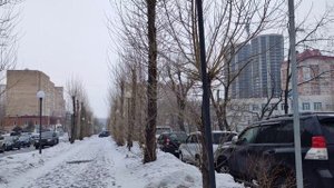 Февраль 2023 Владивосток Тополиная аллея