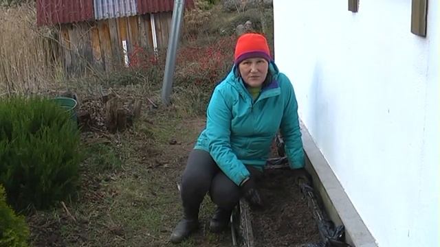 Какие преимущества у выращивания в контейнерах смотреть онлайн