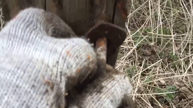ДОБРАЛСЯ ДО СТАРОГО ПОГРЕБА ..