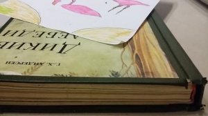 2 часть рисунка фламинго