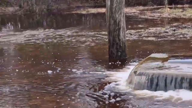 Ведьмин колодец в Тухала смотреть онлайн