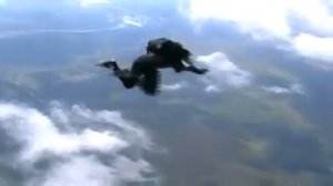 Парашютный спорт, классика