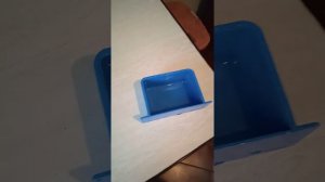 Как напоить попугая