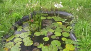 Водный парк Лотос Таруса