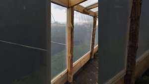 плёнка Светлица на деревянном каркасе. Часть 2