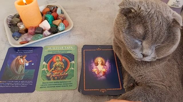 19 НОЯБРЯ. ПОМОЩЬ И ПОДСКАЗКА ОТ ВЫСШИХ СИЛ. ПОСЛАНИЕ ВСЕЛЕННОЙ.