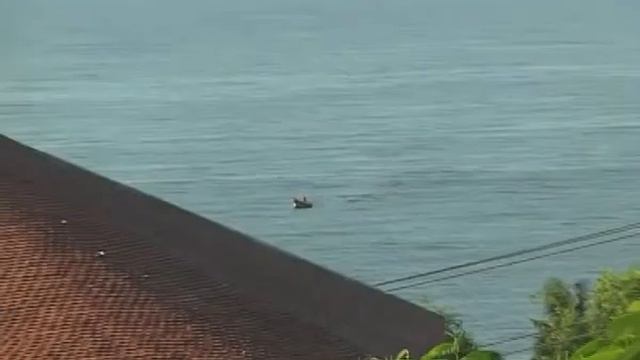 MELON RESORT смотреть онлайн