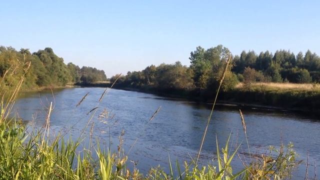 Как я вышла из матрицы