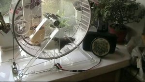 ВЕЧНЫЙ ДВИГАТЕЛЬ БЕСТОПЛИВНЫЙ ГЕНЕРАТОР СВОБОДНОЙ ЭНЕРГИИ!! FREE ENERGY ГЕНЕРАТОР ИГОРЬ БЕЛЕЦКИЙ