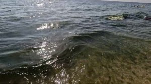 ОДЕССА ❤️ ПОЗИТИВ❗️ ОДЕССКИЙ ДВОРИК от Марины  Гарник❗️ПЛЯЖ СЕГОДНЯ❗️ВСТРЕЧА С КИЕВЛЯНАМИ❗️