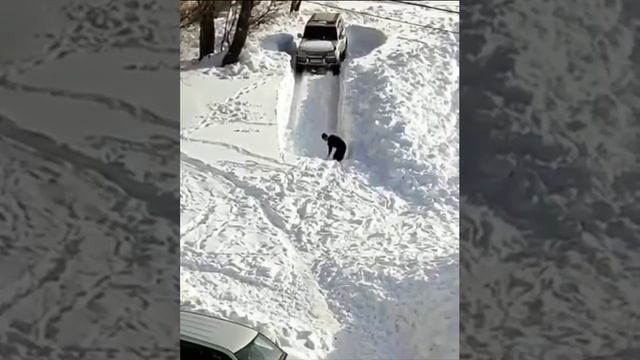Целеустремлённость выглядит так!