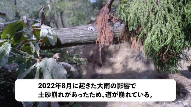 熊が頻繁に出没する誰もいない山奥でジャグジーみたいに吹き出てる天然混浴露天風呂を発見したので1日キャンプしてみた