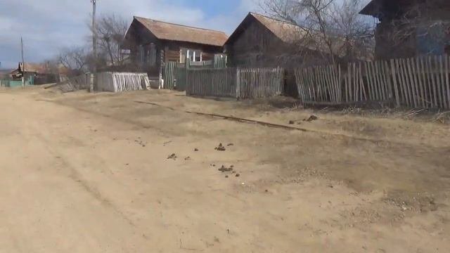 село       горки