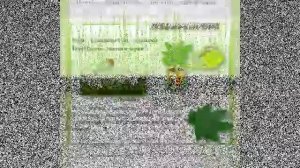 Презентация на тему Мир растений. 3 класс