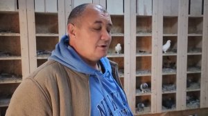 Разговор о голубях. В гостях у Сергея. Есть на продажу голуби. Бойные голуби Челябинска.