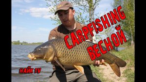 НА ЧТО ЛОВИТЬ КАРПА В МАЕ? Прикормка весной для холодной воды.