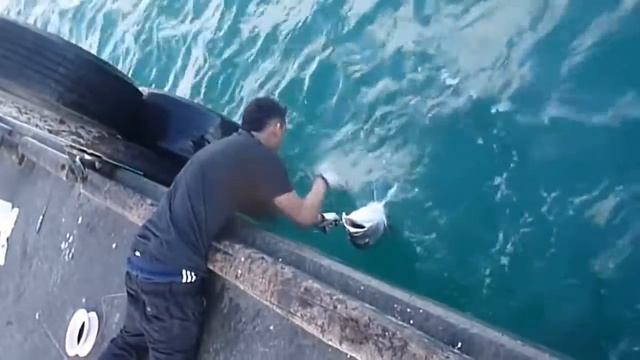 Поймал огромную рыбу без удочки смотреть онлайн