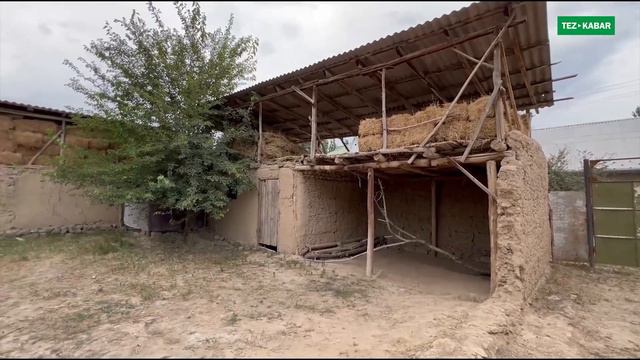 18 соток ЖЕРДЕ жайгашкан чакан ҮЙ сатылат ~ Сарайы да бар ~ Гүлбаар смотреть онлайн